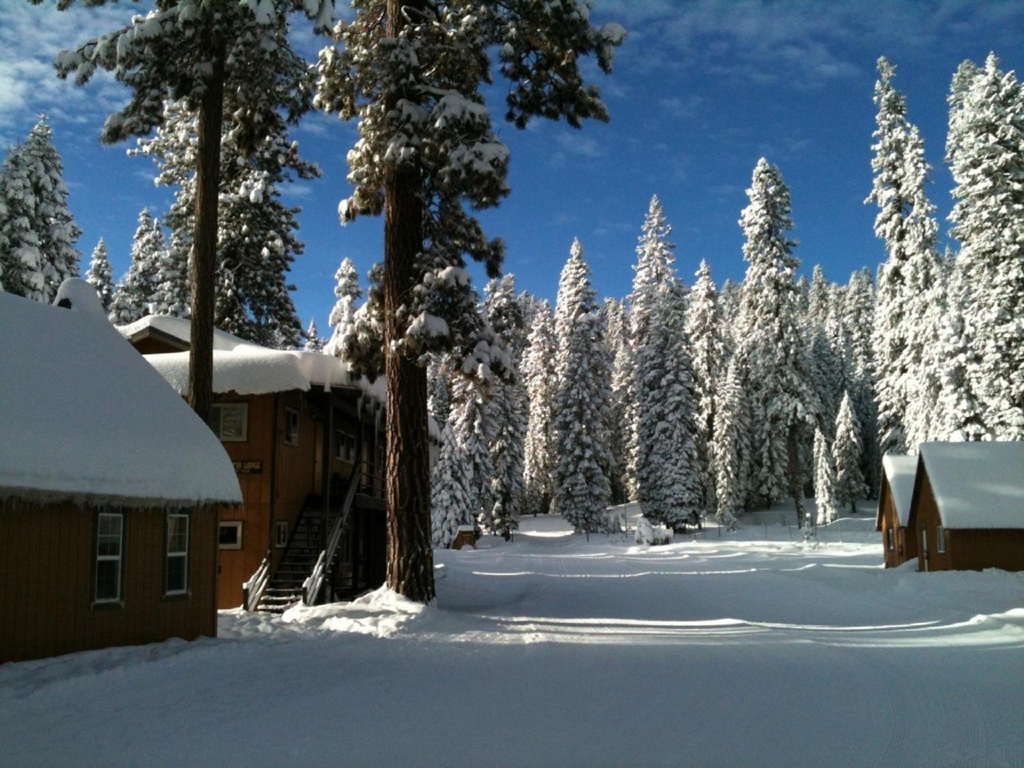 Montecito Sequoia Lodge Wilsonia Exterior foto